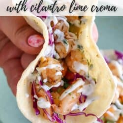 White corn tortilla with shredded red cabbage, fresh salsa and grilled shrimp garnished with a drizzle of cilantro lime crema held in a hand.