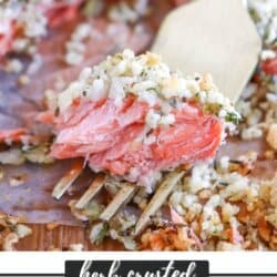 A fork with a piece of herb crusted salmon.