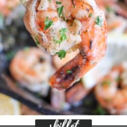 Cooked shrimp covered in butter, garlic and fresh parsley on a fork.