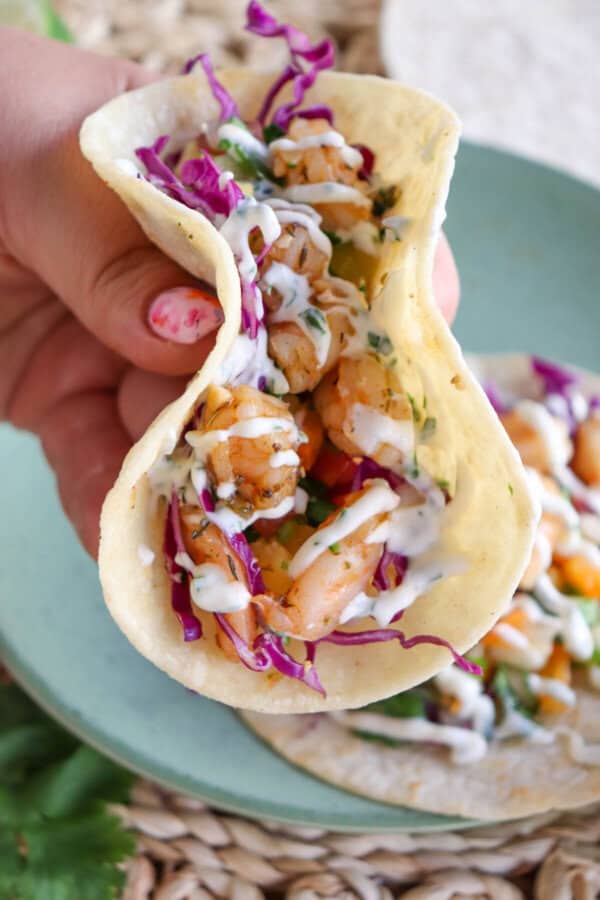 White corn tortilla with shredded red cabbage, fresh salsa and grilled shrimp garnished with a drizzle of cilantro lime crema held in a hand.