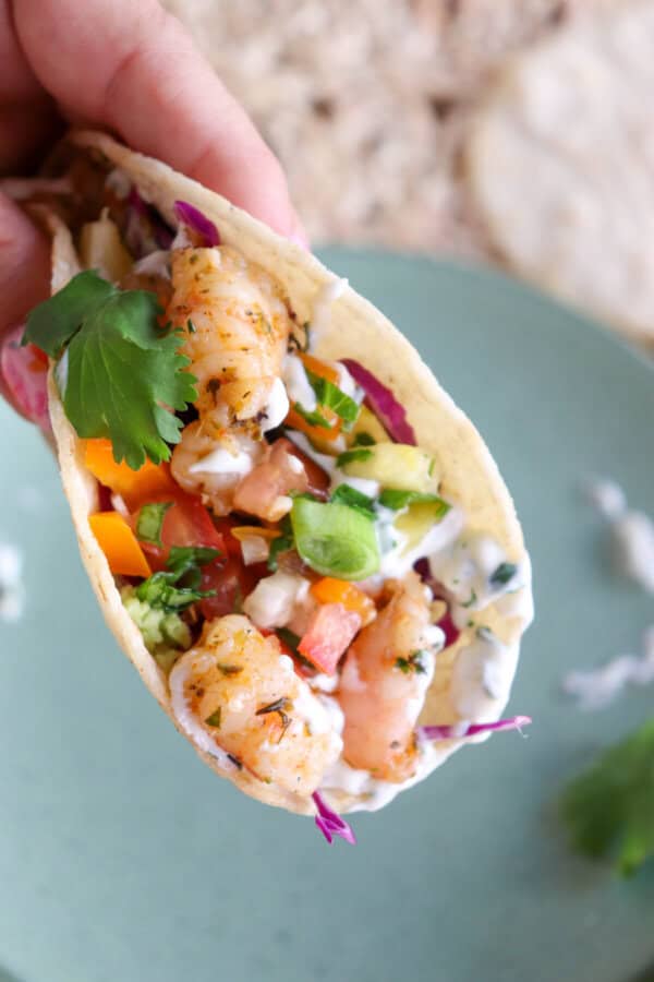White corn tortilla with shredded red cabbage, fresh salsa and grilled shrimp garnished with a drizzle of cilantro lime crema held in a hand.