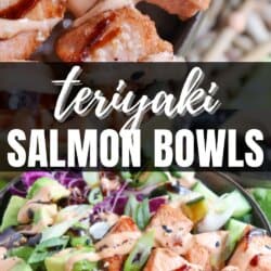 Grilled salmon and vegetables on a bowl of rice drizzled in teriyaki sauce and spicy mayo.