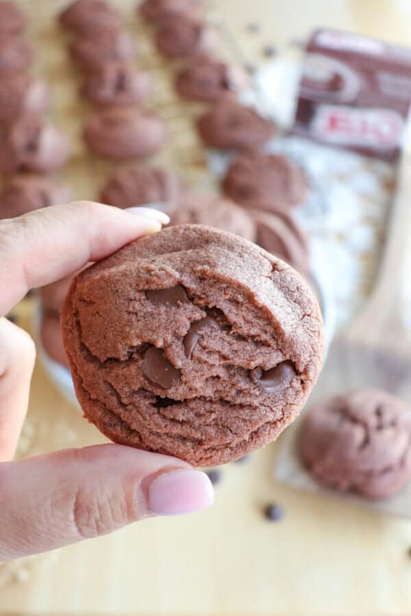 A chocolate cookie held in a hand.