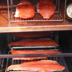Salmon fillets being cold smoked in a vertical smoker.