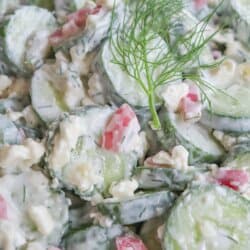 Sliced cucumbers in tzatziki sauce with diced pickled onions and dill in a white bowl.