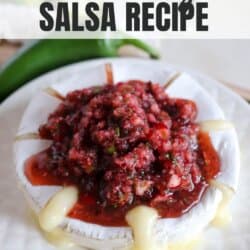 Cranberry red salsa on top of a round of melted brie on a white plate.
