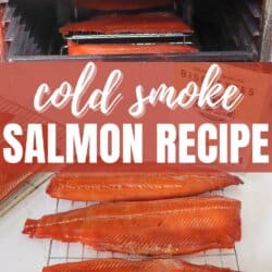 Salmon fillets being cold smoked in a vertical smoker.