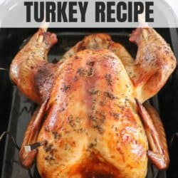 Whole turkey browned and resting in a black roasting pan.