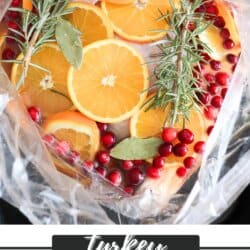 Whole turkey in bag covered in a brine of vinegar with sliced oranges, cranberries and herbs.