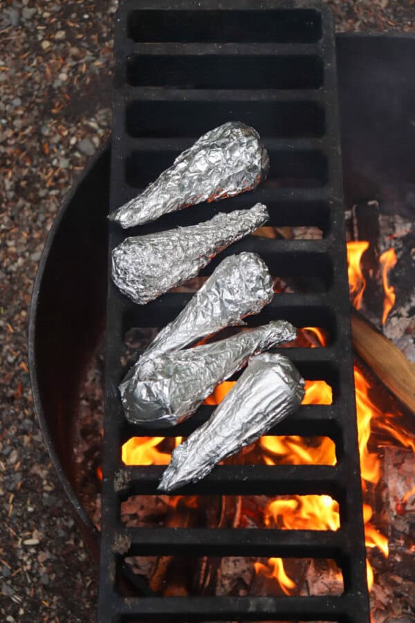Five sugar cones wrapped in foil on the grate of a campfire.