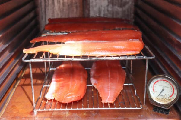Salmon fillets in a cold smoker on wire racks.