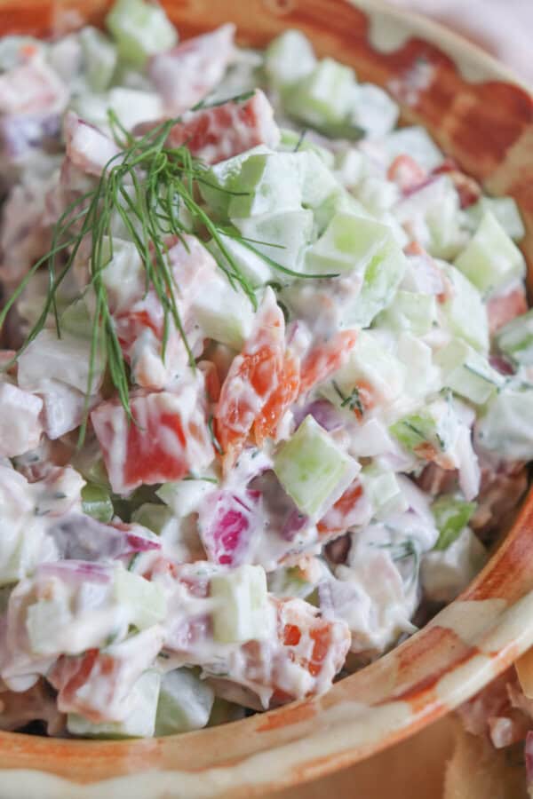 Close up of diced celery, red onion and smoked salmon covered in creamy white mayonnaise in a clay bowl with a sprig of fresh dill on top.