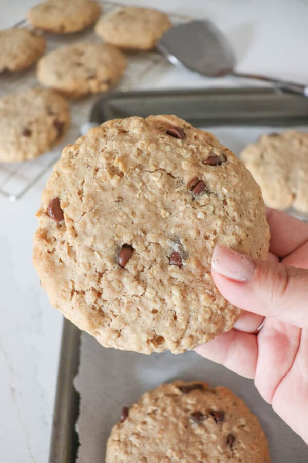 Large oatmeal chocolate chip cookie held in a hand.