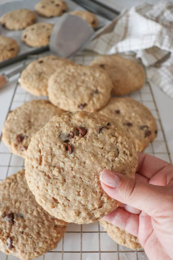 Large oatmeal chocolate chip cookie held in a hand.