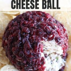 Cheese ball covered in dried cranberries surrounded by nacho chips.
