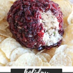 Cheese ball covered in dried cranberries surrounded by nacho chips.
