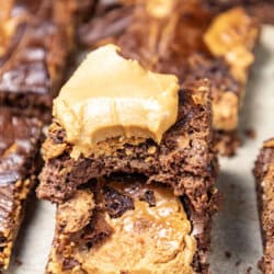 Peanut Butter Brownies on parchment paper.