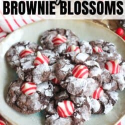 A plate of festive candy cane brownie blossoms, each topped with red and white striped candies, invites indulgence. Lightly dusted with powdered sugar, these treats shine with holiday spirit. The text reads candy cane brownie blossom and homemadeheather.com.