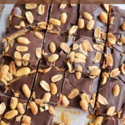 Top view of chocolate date bars topped with peanuts, resting on parchment paper. Labeled Snickers Date Bark with a website URL at the bottom.