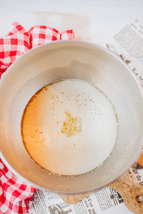 A metallic mixing bowl containing frothy yeast mixture sits on a white surface, hinting at the start of something delicious. Nearby, a red and white checkered cloth is partially visible, suggesting homemade everything bagel seasoning is ready to be sprinkled in for that perfect touch.