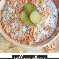A bowl of cottage cheese fried pickle dip topped with pickle slices and fresh dill. The rim of the bowl is speckled, and potato chips are nearby. The text at the bottom reads cottage cheese FRIED PICKLE DIP homemadeheather.com.