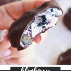A hand holding a partially bitten blueberry yogurt cluster, covered in dark chocolate. The filling shows blueberries mixed with yogurt. A blurred background features similar clusters. Text at the bottom reads, blueberry YOGURT CLUSTERS homemadheather.com.
