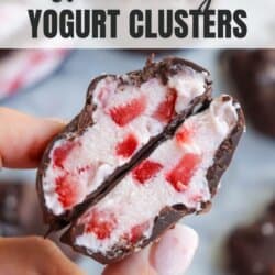 Close-up of a hand holding a halved strawberry yogurt cluster coated in chocolate. The creamy yogurt is speckled with pieces of strawberry. Text at the top reads Strawberry Yogurt Clusters and homemadeheather.com at the bottom.