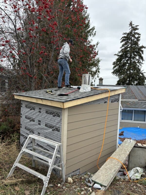 Person wearing jeans and a hat, standing on the roof of a small shed under construction. Tools and materials are on the roof. A ladder is leaning against the shed. Trees with red berries are in the background under an overcast sky.
