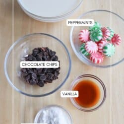 An overhead view of ingredients on a wooden surface: a bowl of vanilla protein shake, a bowl of peppermints, a bowl of chocolate chips, a small bowl of vanilla extract, and a bowl of pudding mix. Labels identify each ingredient.