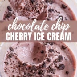 Close-up of chocolate chip cherry ice cream in a bowl. A spoon lifts a scoop, showing creamy texture and chocolate chip pieces. Text overlay reads Chocolate Chip Cherry Ice Cream. Website link at the bottom: homemadeheather.com.