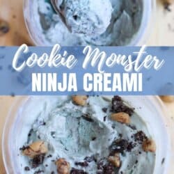 Top view of two bowls of ice cream titled Cookie Monster Ninja Creami. The ice cream is bluish-gray with chocolate chips and cookie pieces. A spoon scoops a bite from the top bowl. Website text at the bottom.