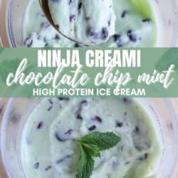 Two bowls of homemade chocolate chip mint ice cream topped with a mint leaf. The text reads Ninja Creami Chocolate Chip Mint High Protein Ice Cream with a website URL at the bottom.