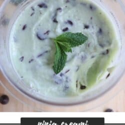 A pint container filled with creamy mint ice cream, featuring chocolate chips and a sprig of mint on top. Below is a label reading Ninja Creami High Protein Chocolate Chip Mint with a website link.