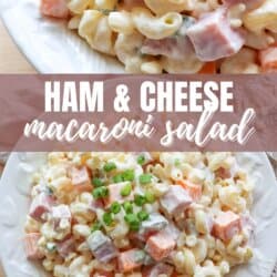 Two plates of ham and cheese macaroni salad with creamy dressing. The pasta is mixed with cubes of ham, cheese, and green onions. Text on the image reads Ham & Cheese Macaroni Salad with a URL at the bottom.