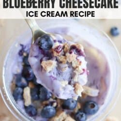 Top view of a bowl filled with creamy blueberry cheesecake ice cream, topped with fresh blueberries and crumbled graham crackers. The text reads Ninja Creami Blueberry Cheesecake Ice Cream Recipe. Website: HomemadeHeather.com.