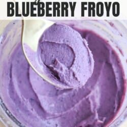 A spoon scoops purple blueberry frozen yogurt from a bowl. The text on the image reads, High Protein Ninja Creami Blueberry Froyo and homemadeheather.com.