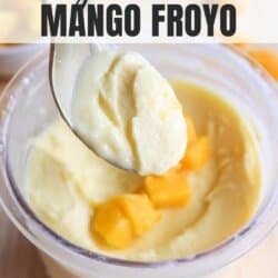 A spoon lifts a smooth, creamy mango frozen yogurt from a container, garnished with diced mango pieces. Text reads High Protein Ninja Creami Mango Froyo.
