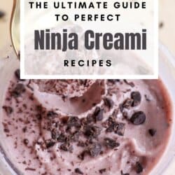 A bowl of chocolate ice cream topped with chocolate chips, with a spoon scooping up creamy goodness. Text overlay reads, Your Go-To for Perfect Ninja Creami Recipes.
