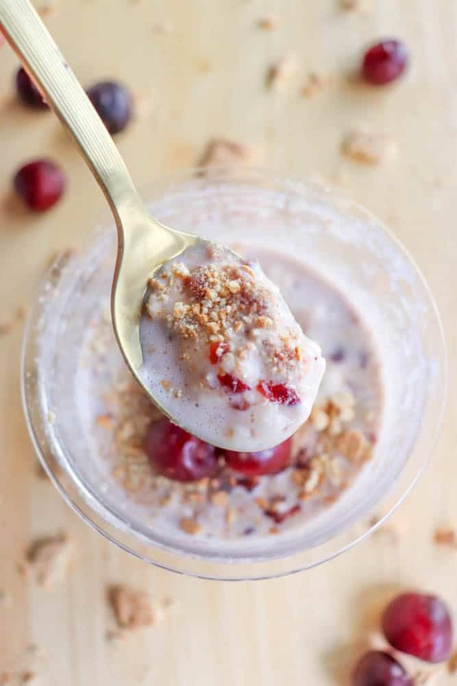 ◇はちみつcherry◇【GRACE PROGRAM 】クリームN Homemade Cherry Garcia Protein Ice Cream – Equip