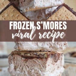 Close-up of layered frozen Smores consisting of a graham cracker, chocolate layer, and marshmallow filling. Text on image reads Frozen Smores Viral Recipe. Website URL at the bottom: homemadeheather.com.