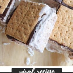 Close-up of frozen smores squares with a creamy filling and graham cracker layers. The text overlay says viral recipe and Frozen Smores with the website homemadeheather.com at the bottom.