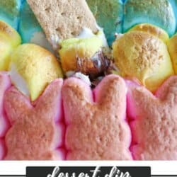 Colorful marshmallow bunnies surround a graham cracker and melted chocolate in a dessert dip. The marshmallows are pink, yellow, and blue, creating a festive appearance. Text at the bottom reads dessert dip Peeps Smores homemadeheather.com.