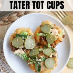 Plate with Big Mac Tater Tot Cups topped with ground beef, shredded lettuce, pickles, and drizzled with sauce. Text at the top reads Big Mac Tater Tot Cups. A fork is placed beside the plate.