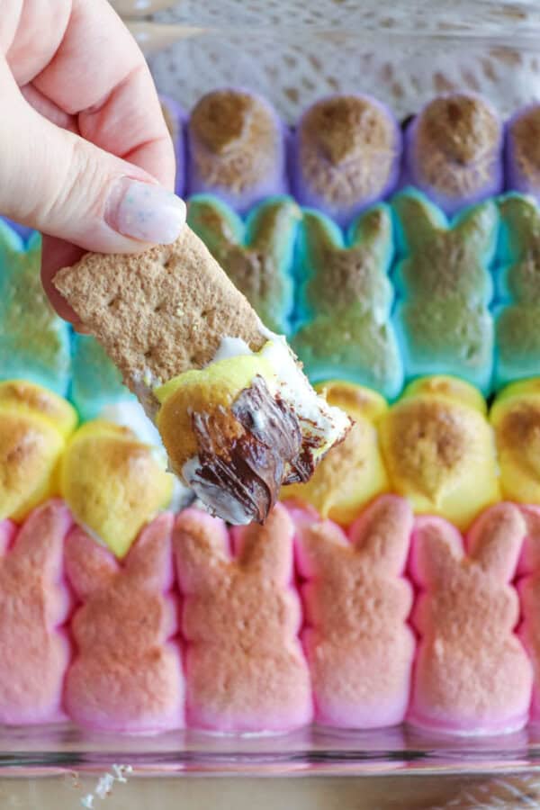 A hand holds a graham cracker dipped in melted chocolate and marshmallow over a tray filled with rows of colorful marshmallow bunny peeps. The peeps are arranged in pink, yellow, and purple rows.