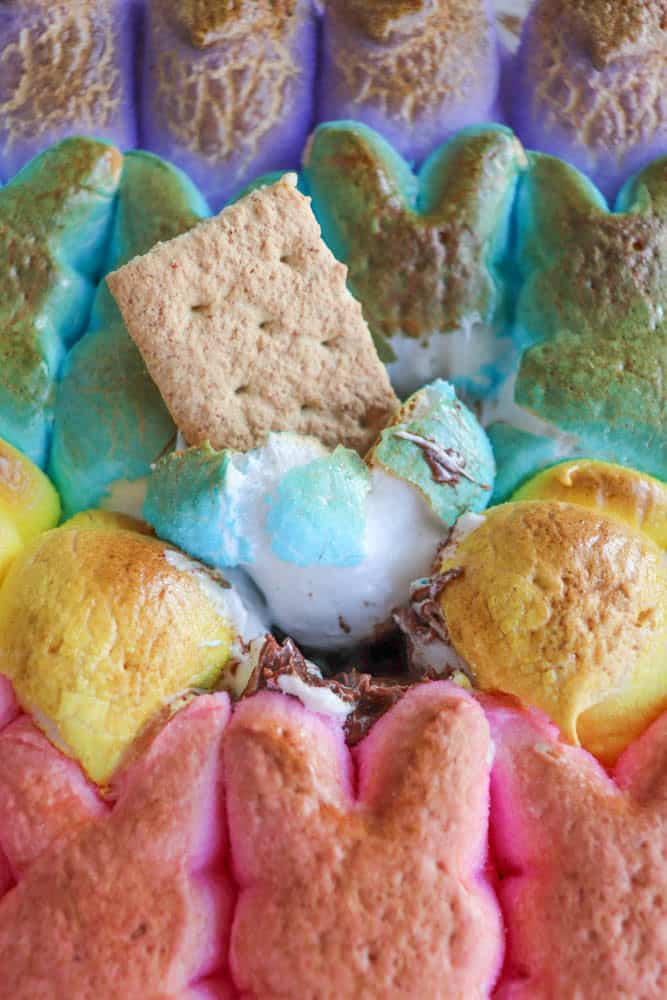A colorful display of marshmallow bunny Peeps in pink, yellow, and purple, arranged around a melting chocolate center. A graham cracker is dipped into the chocolate and marshmallow mixture in the middle.
