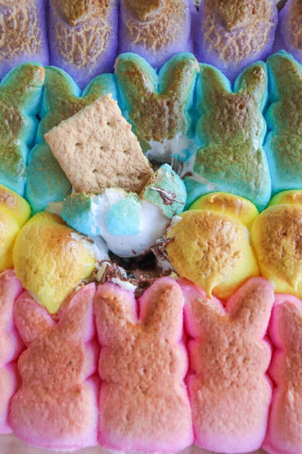 Colorful marshmallow bunnies in pink, yellow, green, and purple surround a dip made of melted chocolate, marshmallows, and crushed graham crackers at the center. A single graham cracker is stuck into the dip.