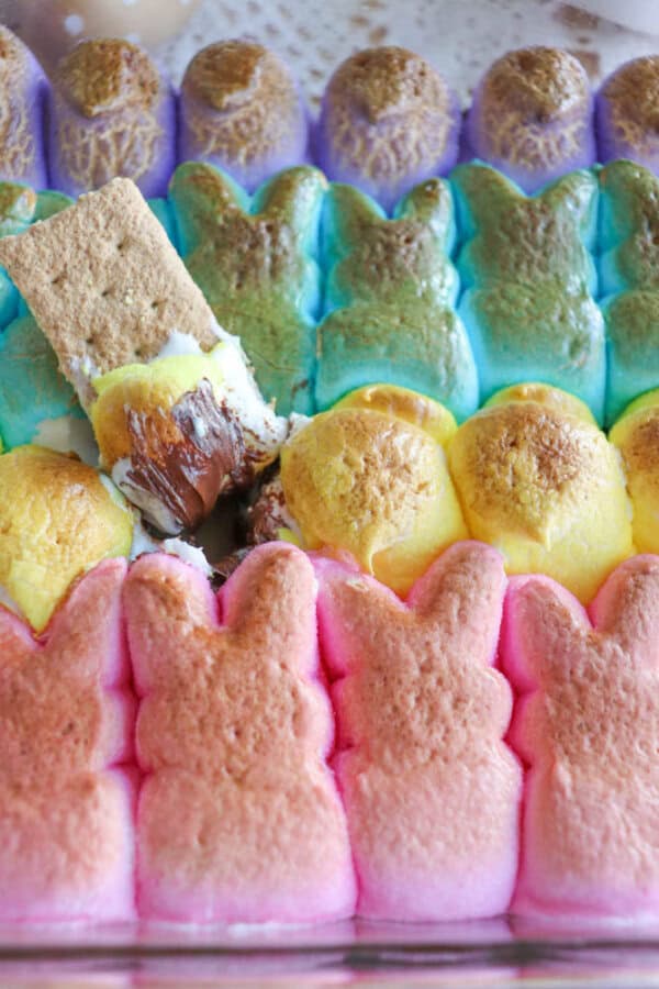 A colorful arrangement of marshmallow bunnies in a baking dish, toasted on top. A graham cracker dipped in melted chocolate and a gooey marshmallow is at the center, suggesting a playful twist on a Smores treat.