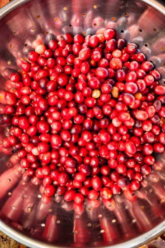 A metal colander filled with bright red coffee cherries, viewed from above. The colander has small holes and reflects light, making the cherries appear glossy and fresh.