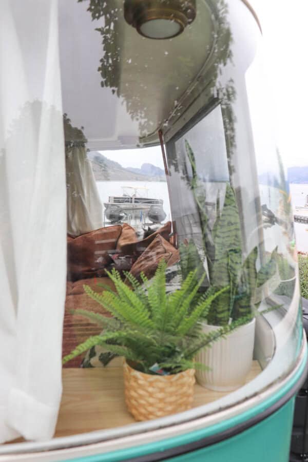 A close-up view through the curved window of an Argosy Airstream restoration shows two potted green plants on a wooden surface, brown cushions inside, and mountains and water reflected in the glass.