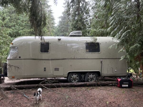 A light gray Argosy Airstream trailer is parked in a forest with pine trees, showcasing a recent restoration. A fallen branch rests on top, a small black-and-white dog stands nearby, and a red Honda generator is next to the trailer.